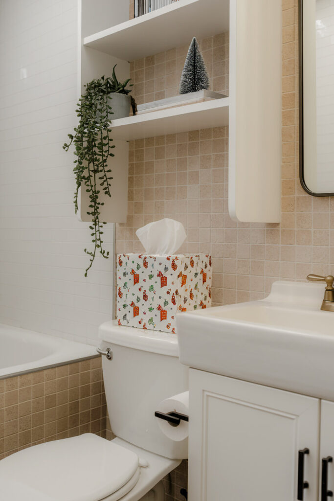 Christmas-themed tissue box on the toilet in the light contemporary bathroom