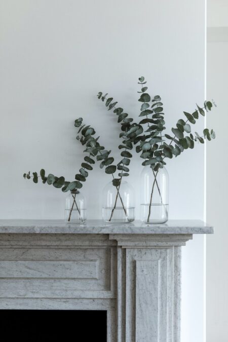 minimalist glass vases of different heights with eucalyptus as summer mantel decor