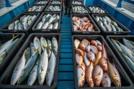 fishing company name ideas