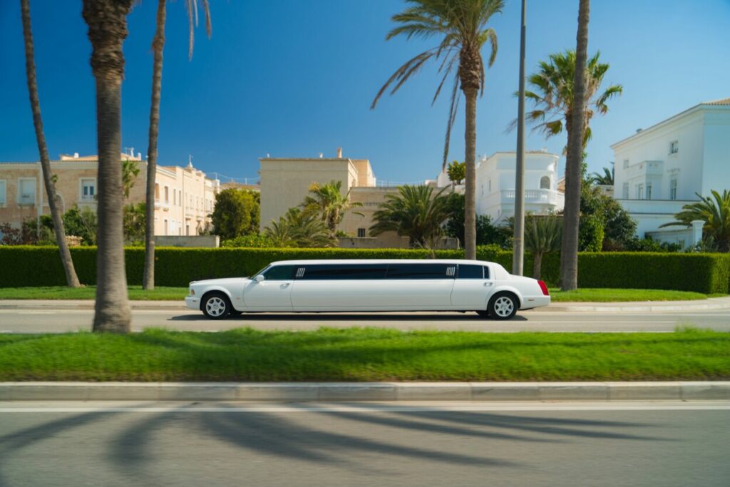 limousine company name ideas