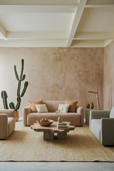earthy living room with desert-inspired decor, modern low-slung furniture with clean lines, and a sculptural cactus