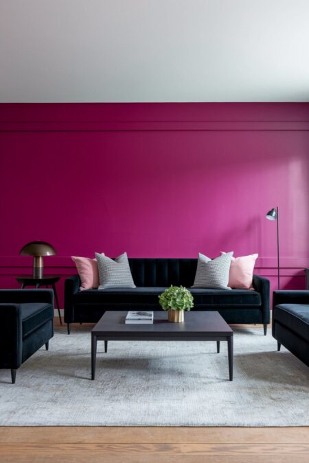 living room with a magenta accent wall and dark charcoal velvet sofa, gray area rug