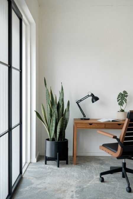 Japandi home office with a wooden desk, a snake plant in the black pot, and a black desk lamp