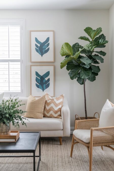 cozy living room with a fiddle leaf fig in the corner, a cream sofa, and a rattan chair